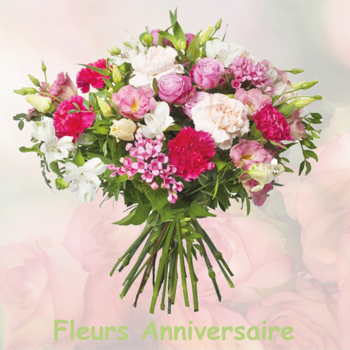 fleurs anniversaire VIEUX-MAREUIL